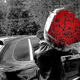 No, �����, 24 ����