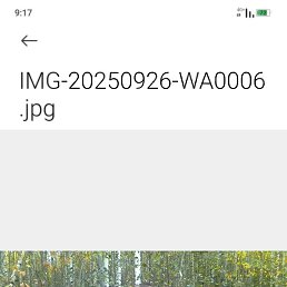 �����, 46 ���, ����