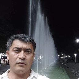 , 44, 