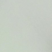 ������, 35 ���, ������