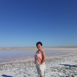 �����, �����-���������, 53 ����