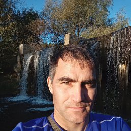 , 39, 