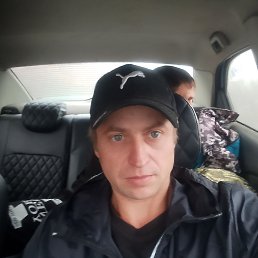 , 33, 
