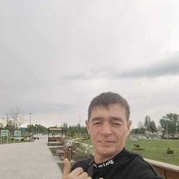 ��������, 41 ���, ������-��-����