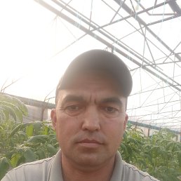 ���� �������, ������, 42 ���� - ��������� 15 ���� 2025