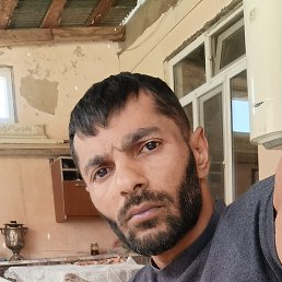 , 29, 