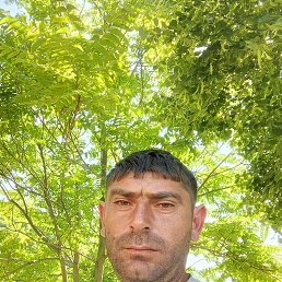 , 39 , 