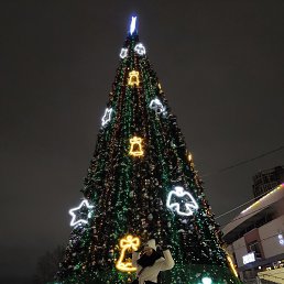 ����, ����, 45 ���