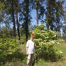 ���� �������, ����������, 64 ���� - ��������� 4 ������� 2024