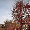  Vika,  -  2  2025   - (    )