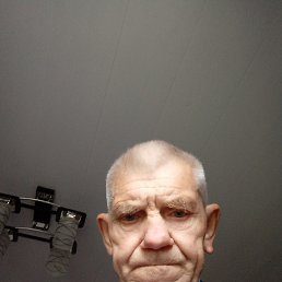 , 67, 