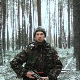 ��������, �����������, 54 ����