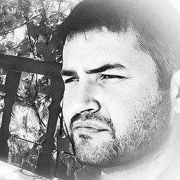 Scarface, ����, 41 ���