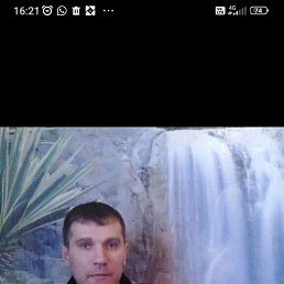 ������, 46 ���, ����