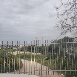���� Eli, ���������, 40 ��� - ��������� 26 ����� 2024