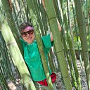 ���� ��������, ������, 31 ��� - ��������� 4 ������ 2024