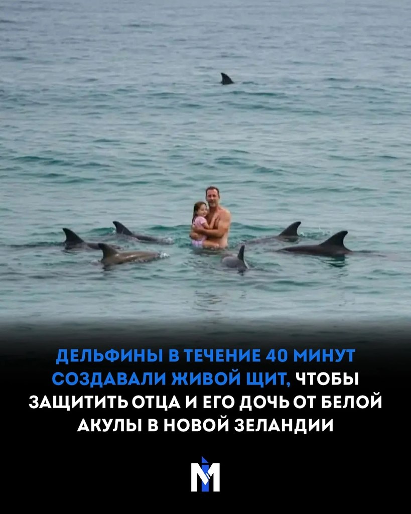 � ������� 2004 ���� � ��������� ����-��� � ����� �������� ��������� ����������� ������. �� ����� ...
