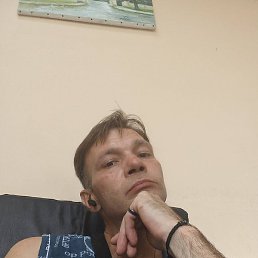 ������, �����, 46 ���