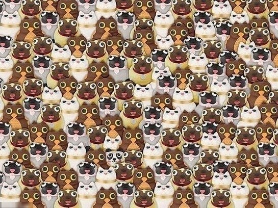 ������� ����� �� �������� �� 10 ������. ��� �����, ������� +++ � ������������. #����@velikieslova