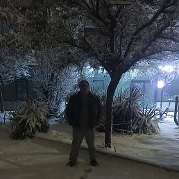 ��, �����������, 45 ���