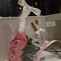 ���� ������, ������, 55 ��� - ��������� 17 ������� 2023