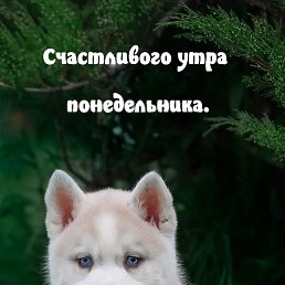 ������, ������, 59 ���