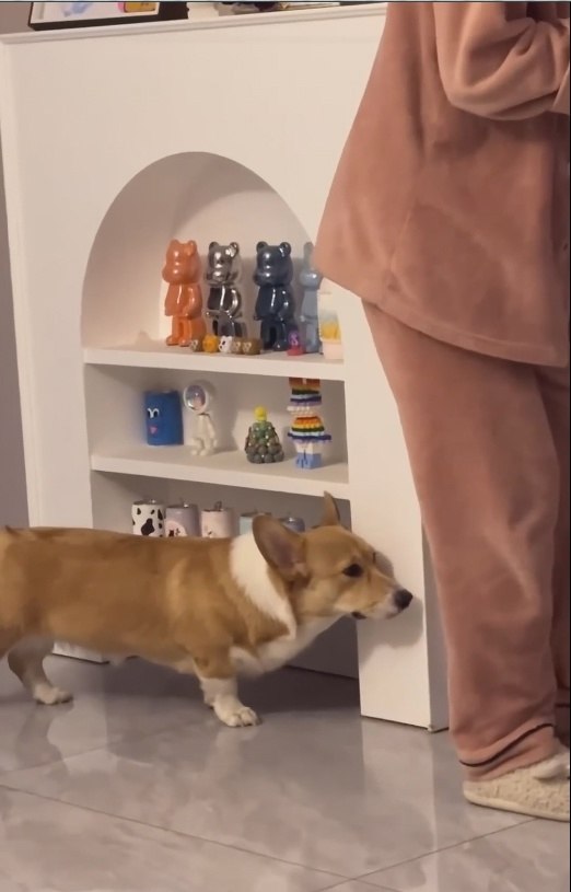     ,     