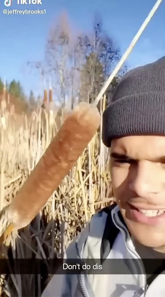 �� ��� ����� - 2