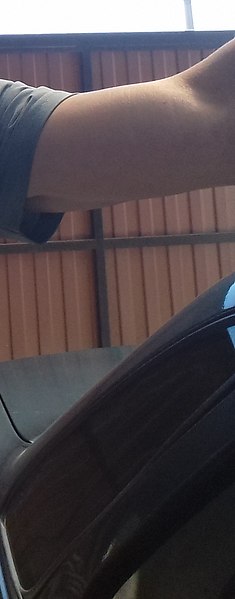 ������, ������, 50 ���