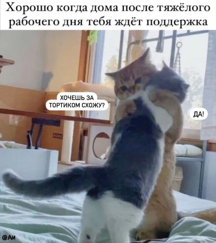 ��� ���� - 24 ������ 2025 � 17:46