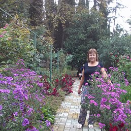 ������, ���������, 74 ����