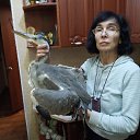 ���� ���, ���������� - ��������� 9 ������ 2026 � ������ ���� ����������