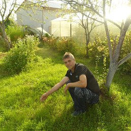 ���� �������, ���������, 60 ��� - ��������� 10 ���� 2025