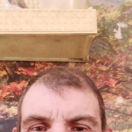 , 38, 