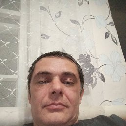 , 40, 