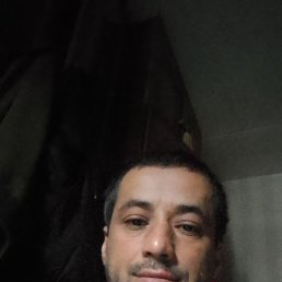 , 37, 