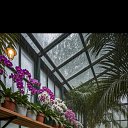 ���� ���� �����, ������-��-����, 52 ���� - ��������� 18 ������� 2025 � ������ ���� ����������