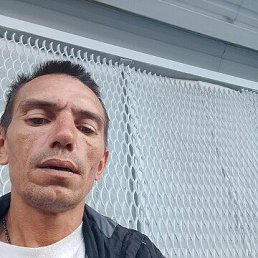 , 41, 