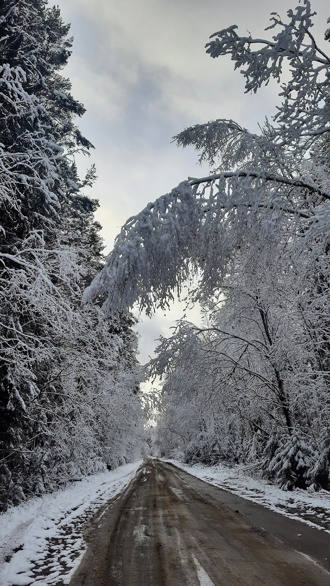 Alexandr Danielyan - 16  2025  23:33
