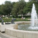 ���� ����, ������, 55 ��� - ��������� 21 �������� 2024 � ������ ���� ����������