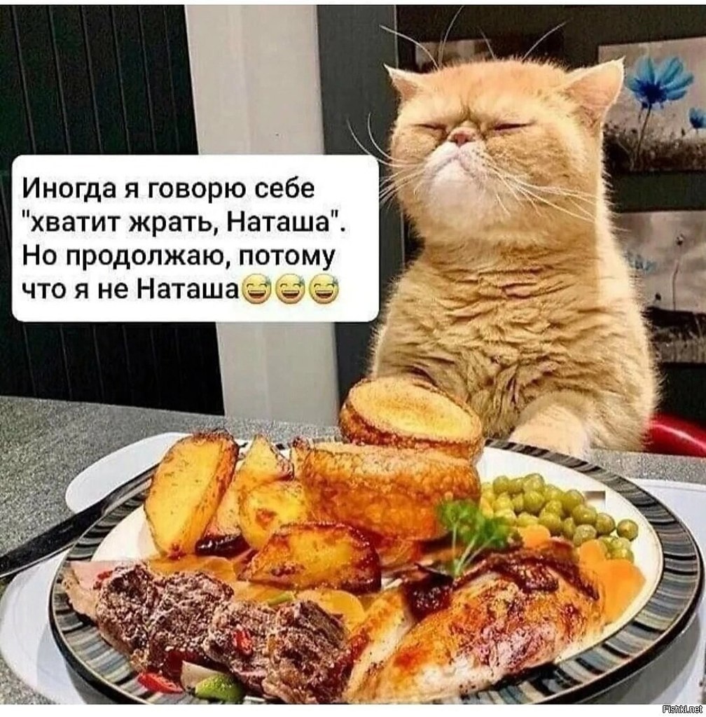   - 8  2025  15:00