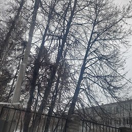 �����, ������, 37 ���