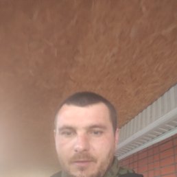 ������, 37 ���, ���������