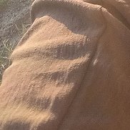 ������, 40 ���, ���������