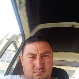 ����, 41 ���, ������