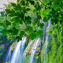 ���� ����, ���������, 56 ��� - ��������� 24 ������ 2024 � ������ ���� ����������
