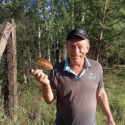 , 61, 