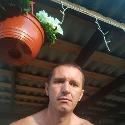 �������, 39 ���, �������