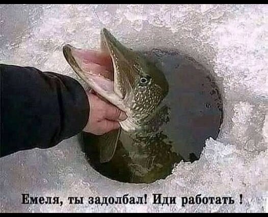 �������� - 31 ����� 2025 � 07:53