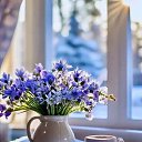 ���� �����, ������ - ��������� 25 ������� 2026 � ������ �������